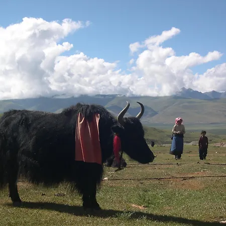 Piccolo Tibet Panzió