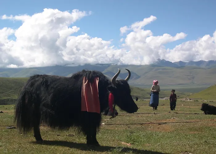 Piccolo Tibet Bed & Breakfast